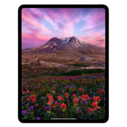 Apple Pro 2024