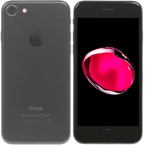 Apple 7